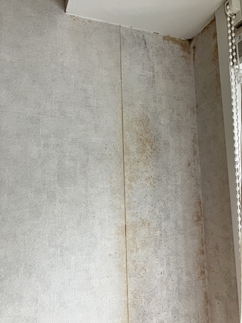 窓際の壁にカビが生え変色していました。