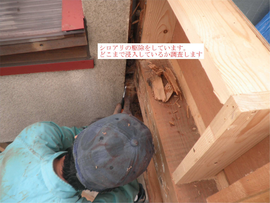 東京都 大田区 M様邸・O様邸 外装リフォーム 施工中